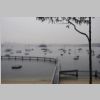 pools redleaf IMG_5485.jpg